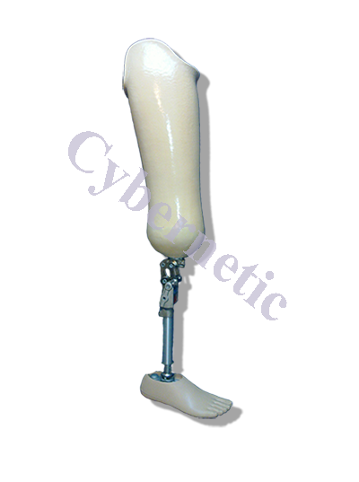 Modular-knee-disarticulation-prosthesis1.png